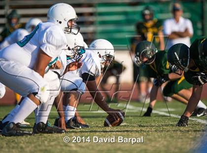 Thumbnail 3 in Sheldon @ Placer photogallery.