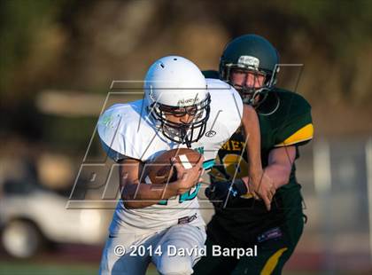 Thumbnail 3 in Sheldon @ Placer photogallery.