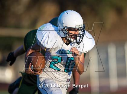 Thumbnail 1 in Sheldon @ Placer photogallery.