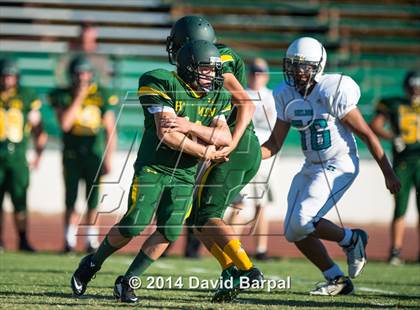 Thumbnail 3 in Sheldon @ Placer photogallery.