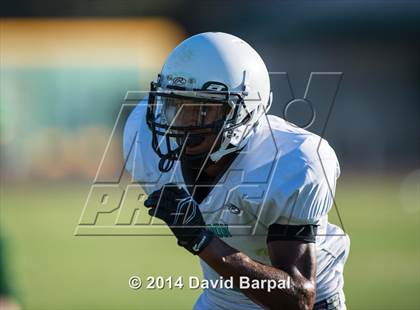 Thumbnail 3 in Sheldon @ Placer photogallery.