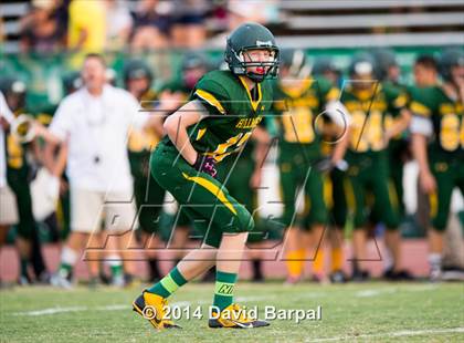 Thumbnail 3 in Sheldon @ Placer photogallery.