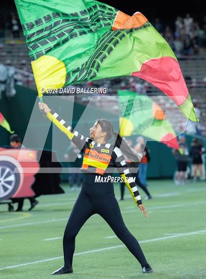 Thumbnail 1 in Haltom @ Martin photogallery.