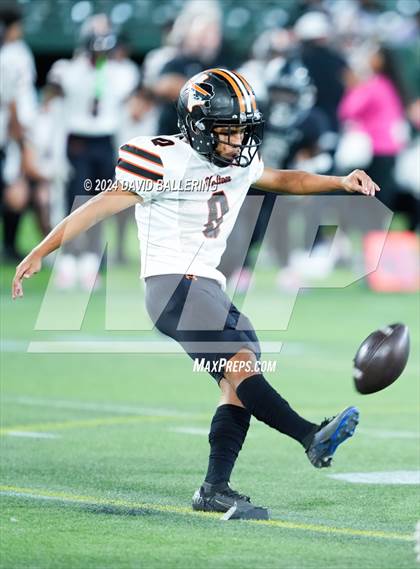 Thumbnail 1 in Haltom @ Martin photogallery.