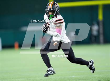 Thumbnail 1 in Haltom @ Martin photogallery.
