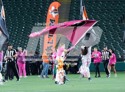 Thumbnail 1 in Haltom @ Martin photogallery.