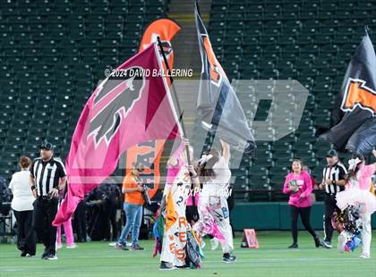 Thumbnail 3 in Haltom @ Martin photogallery.