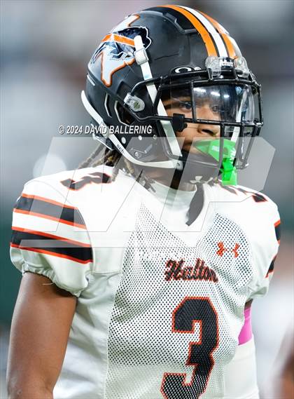 Thumbnail 2 in Haltom @ Martin photogallery.