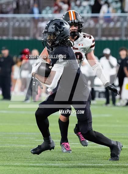 Thumbnail 1 in Haltom @ Martin photogallery.