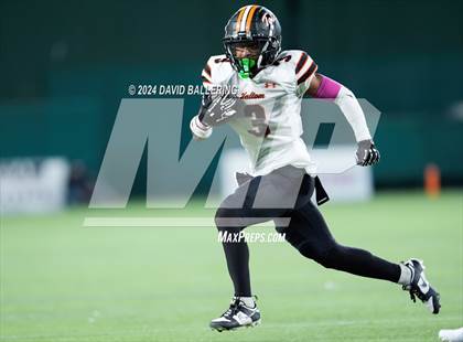 Thumbnail 2 in Haltom @ Martin photogallery.