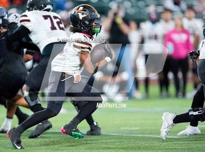 Thumbnail 2 in Haltom @ Martin photogallery.