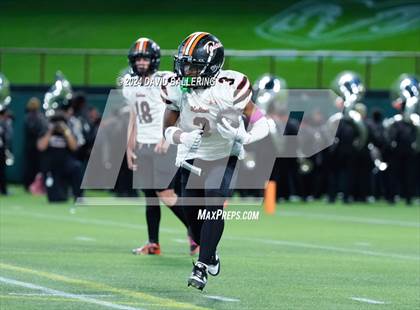 Thumbnail 2 in Haltom @ Martin photogallery.