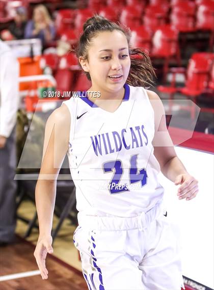 Thumbnail 2 in Sahuaro vs. Mesquite (AIA 5A Semifinal)  photogallery.