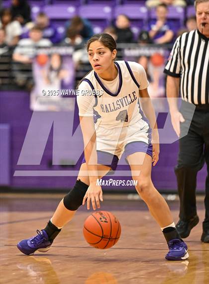 Thumbnail 2 in Whitehouse @ Hallsville photogallery.