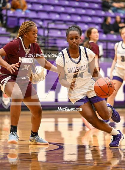 Thumbnail 3 in Whitehouse @ Hallsville photogallery.
