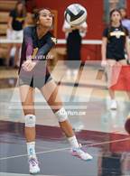 Photo from the gallery "Las Lomas @ Northgate"