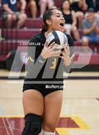 Photo from the gallery "Las Lomas @ Northgate"