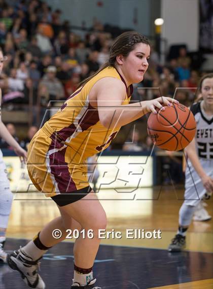Thumbnail 1 in Elk County Catholic vs Keystone (PIAA District IX A Final) photogallery.