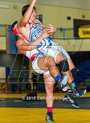 Newark Rotary Ironman Duals