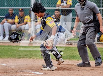 Thumbnail 1 in Inderkum @ Bella Vista photogallery.