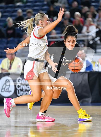 Thumbnail 1 in Sumner vs. Camas (WIAA 4A Semifinal) photogallery.
