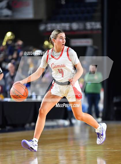 Thumbnail 2 in Sumner vs. Camas (WIAA 4A Semifinal) photogallery.