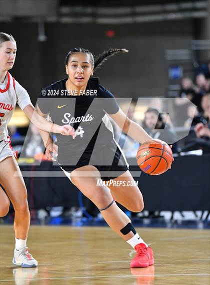 Thumbnail 3 in Sumner vs. Camas (WIAA 4A Semifinal) photogallery.
