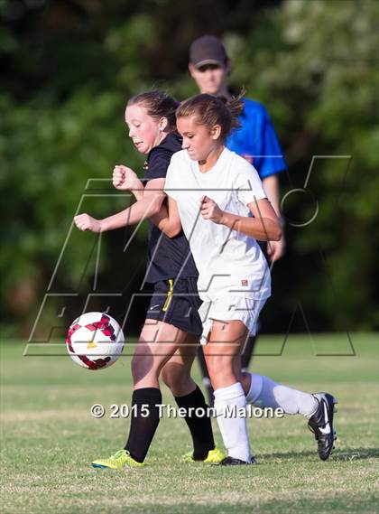 Thumbnail 2 in Hutchison vs Bartlett photogallery.