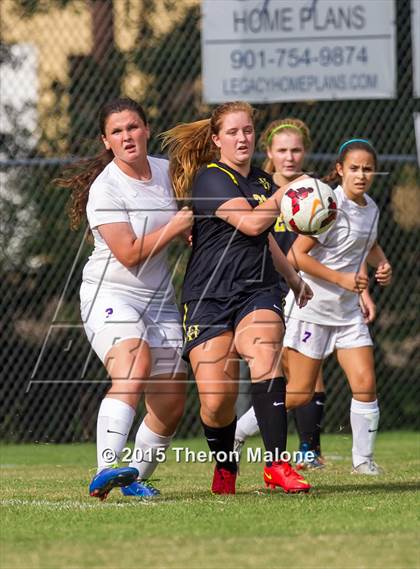 Thumbnail 3 in Hutchison vs Bartlett photogallery.