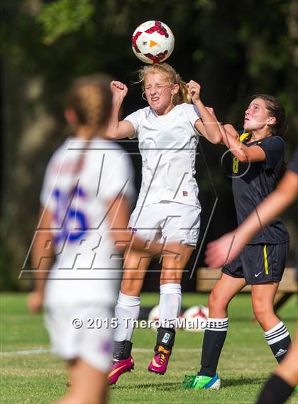 Thumbnail 1 in Hutchison vs Bartlett photogallery.