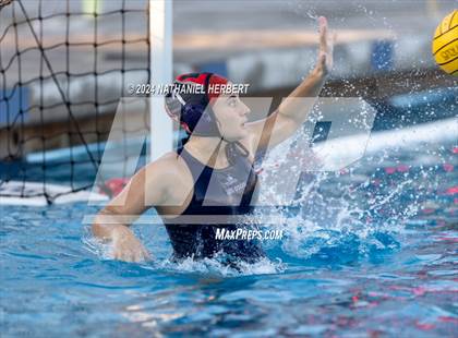 Thumbnail 3 in Poly @ Los Osos photogallery.
