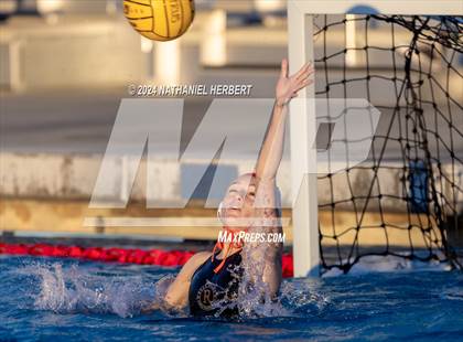 Thumbnail 1 in Poly @ Los Osos photogallery.