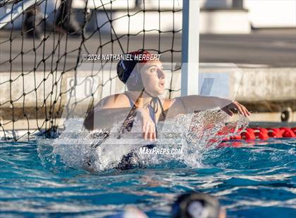 Thumbnail 3 in Poly @ Los Osos photogallery.