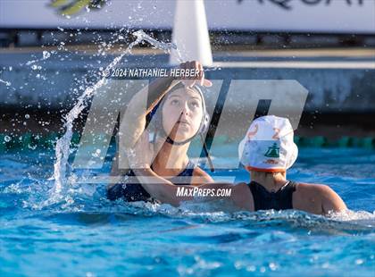 Thumbnail 3 in Poly @ Los Osos photogallery.
