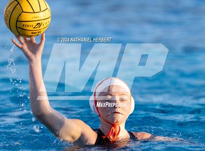 Thumbnail 2 in Poly @ Los Osos photogallery.