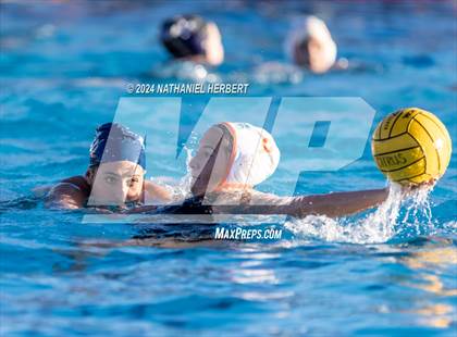 Thumbnail 1 in Poly @ Los Osos photogallery.