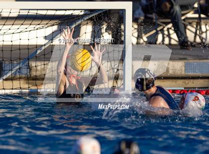 Thumbnail 1 in Poly @ Los Osos photogallery.
