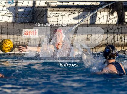 Thumbnail 3 in Poly @ Los Osos photogallery.