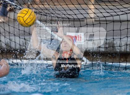 Thumbnail 1 in Poly @ Los Osos photogallery.
