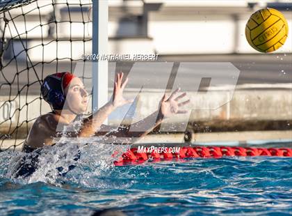Thumbnail 2 in Poly @ Los Osos photogallery.