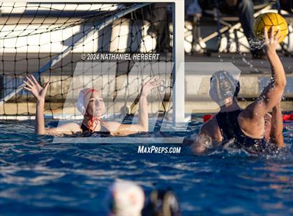 Thumbnail 2 in Poly @ Los Osos photogallery.