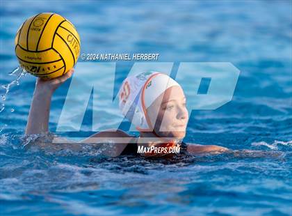 Thumbnail 3 in Poly @ Los Osos photogallery.