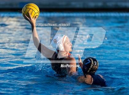 Thumbnail 1 in Poly @ Los Osos photogallery.