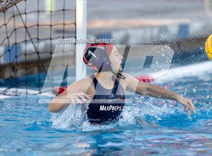Thumbnail 3 in Poly @ Los Osos photogallery.
