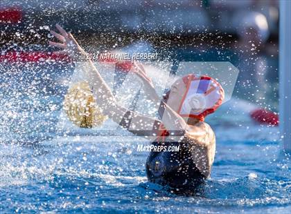 Thumbnail 1 in Poly @ Los Osos photogallery.