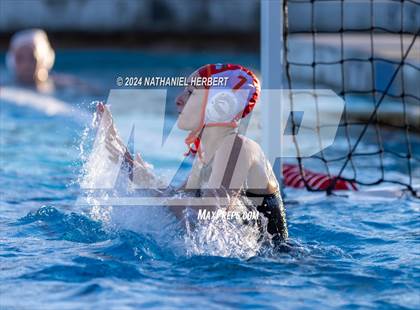 Thumbnail 3 in Poly @ Los Osos photogallery.