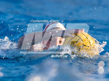 Thumbnail 1 in Poly @ Los Osos photogallery.