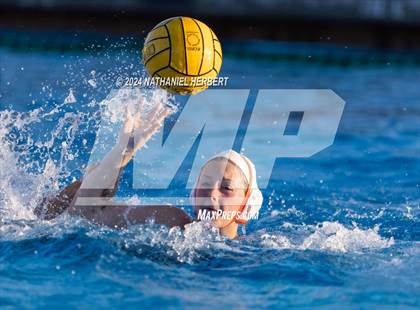 Thumbnail 3 in Poly @ Los Osos photogallery.