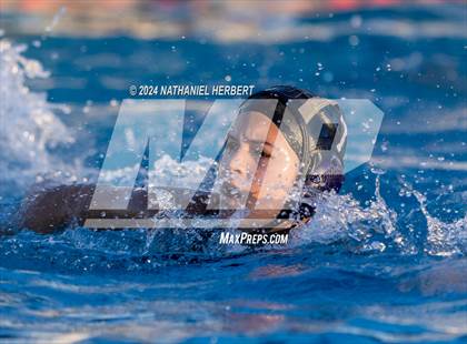 Thumbnail 1 in Poly @ Los Osos photogallery.