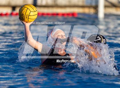 Thumbnail 1 in Poly @ Los Osos photogallery.